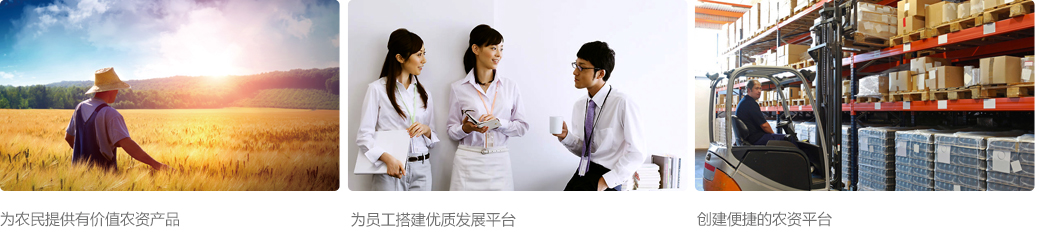 wenhua_03.jpg