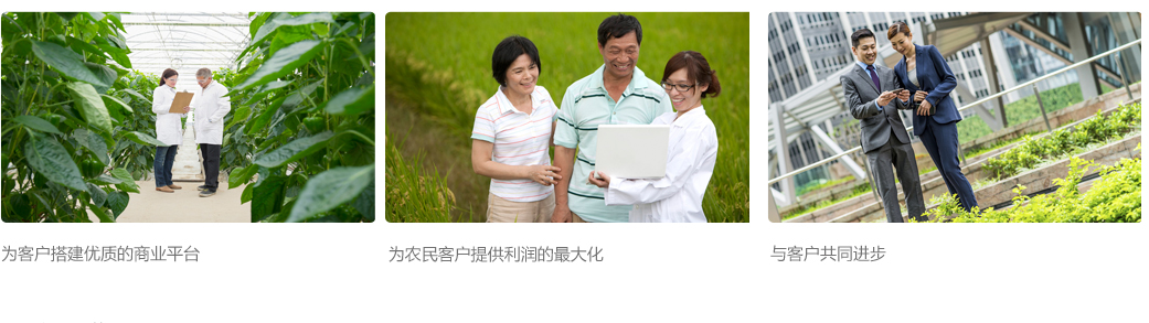 市场代理-招商政策_03.jpg